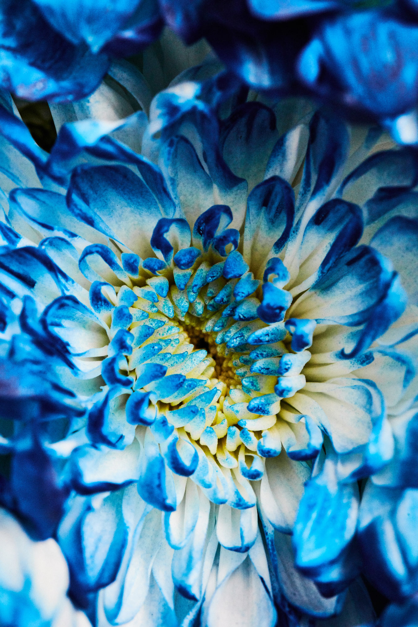 RM_WEBEDIT_0196